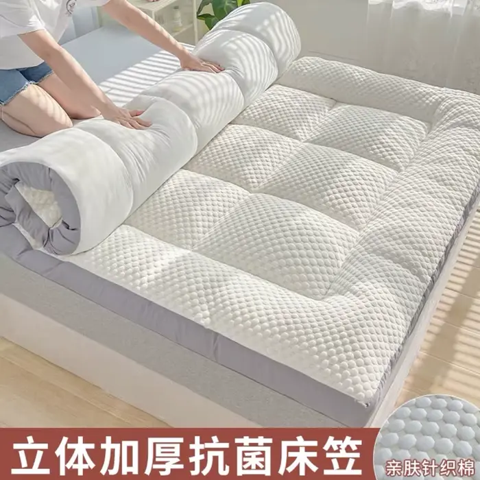 Matelas de sol Tatami pliable confortable et doux pour adultes, épais, pour chambre à coucher, taill