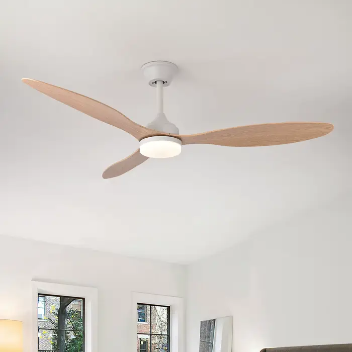 Ventilateur de plafond avec lumière, ventilateur de plafond à profil bas de 25 pouces/42 pouces/52 p